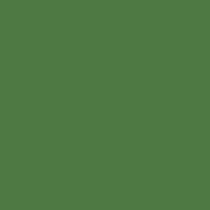 Fern Green Color