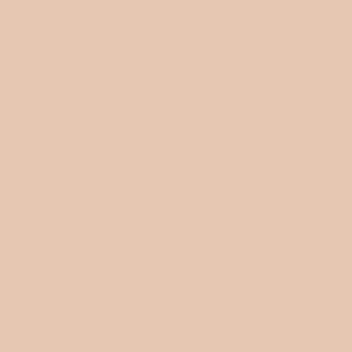 Blush Beige Color