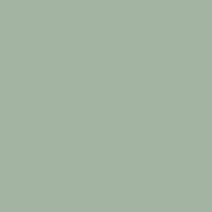 Gray Green Color