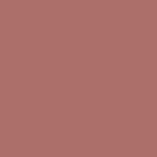 Copper Penny Color