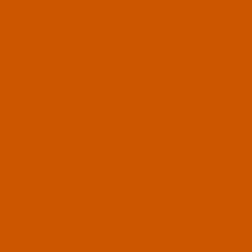 Burnt Orange Color