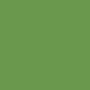 Quark Green Color