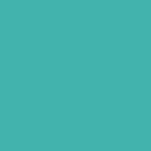 Verdigris Color