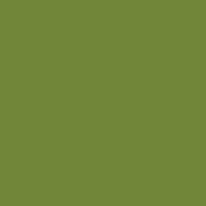 Khaki Green Color