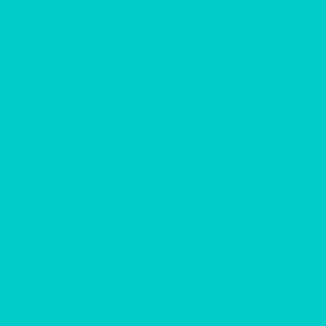 Robin Egg Blue Color