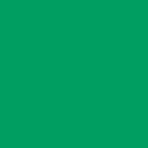 Shamrock Green Color