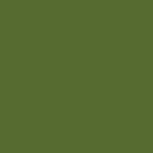 Kabocha Green Color