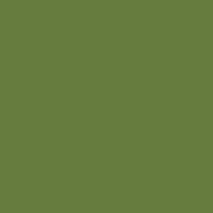 Quagmire Green Color