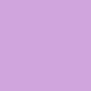 Tropical Violet Color