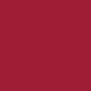 Vivid Burgundy Color