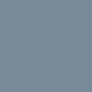 Light Slate Gray Color