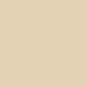 Honey Beige Color