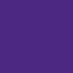 Spanish Violet Color