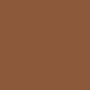 Nutmeg Spice Color