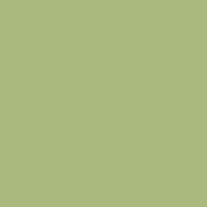 Quinoa Green Color