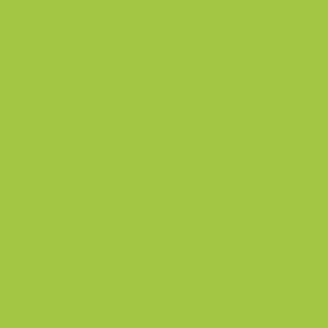 Quirky Lime Color