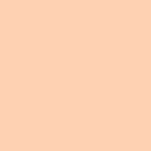 Iced Peach Color